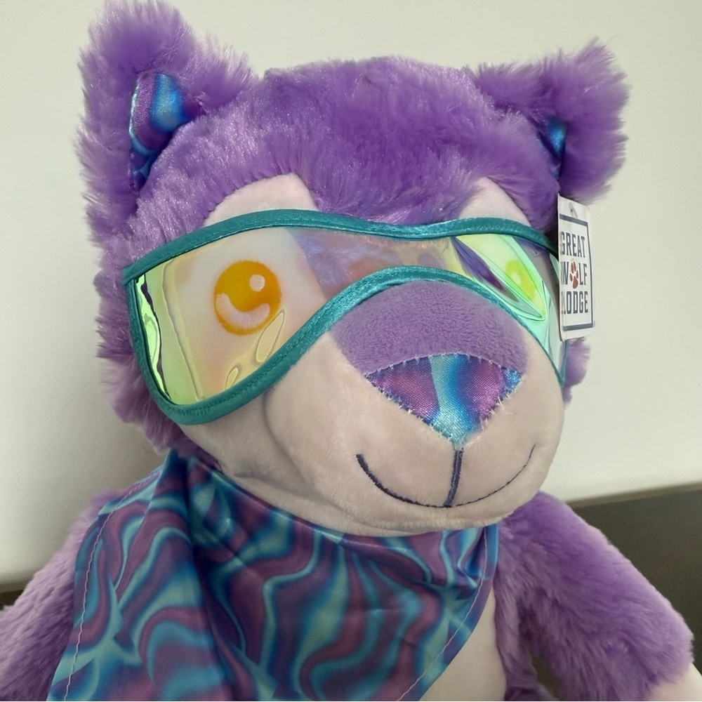 NWT Great Wolf Lodge Snowboard Sports Purple Plush Teddy Bear Winter Youth Girl - Picture 4 of 10